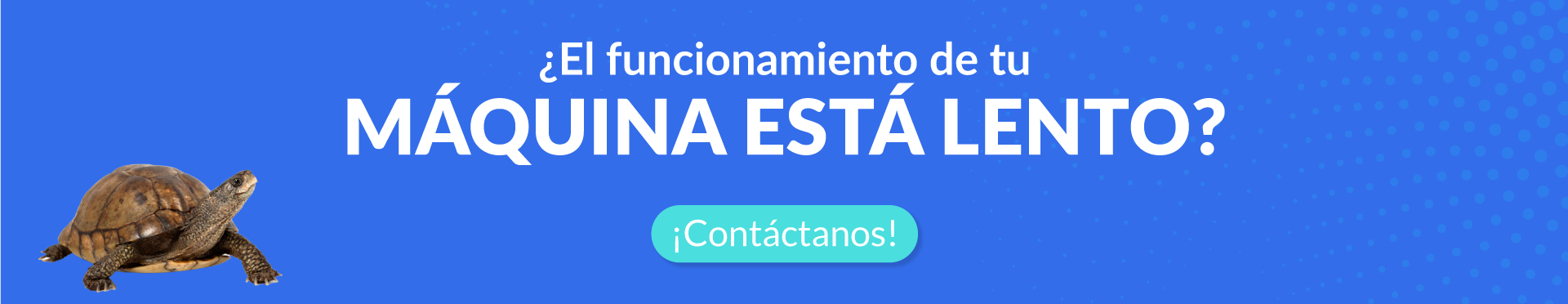 Hibernar, apagar o suspender