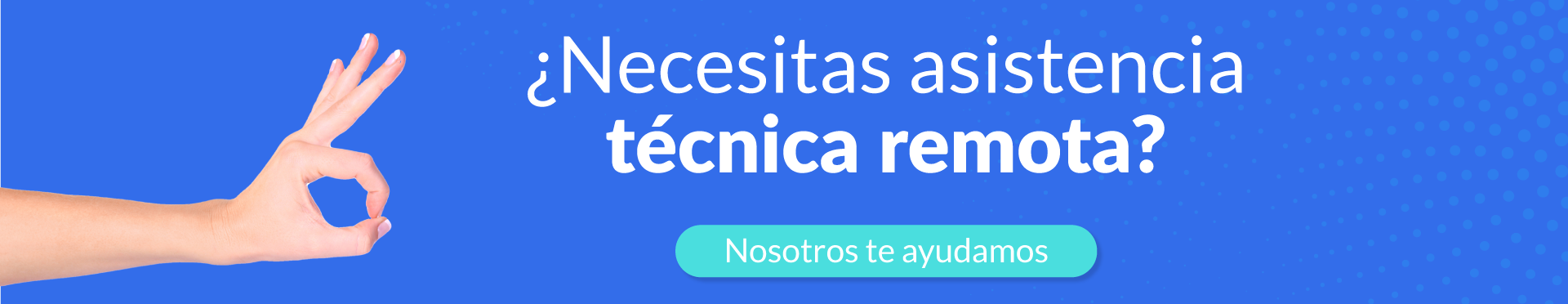 soporte técnico remoto